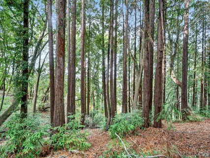 $425,000 | 31 Red Rock Way, San Rafael, CA 94903