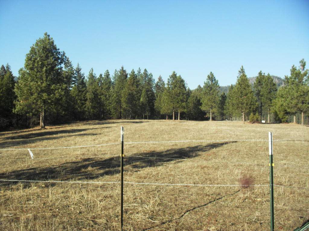 819 B Lindsay Road Colville, WA 99114 - Photo 11 of 14