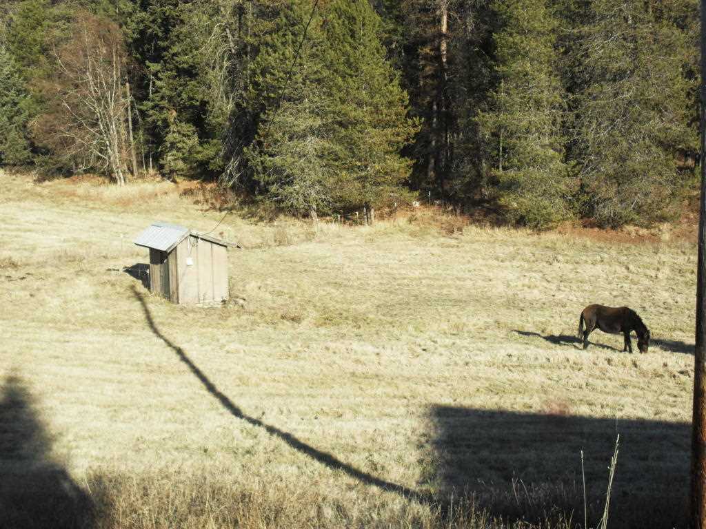 819 B Lindsay Road Colville, WA 99114 - Photo 6 of 14