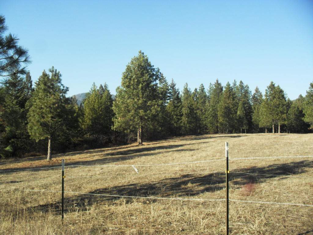819 B Lindsay Road Colville, WA 99114 - Photo 7 of 14