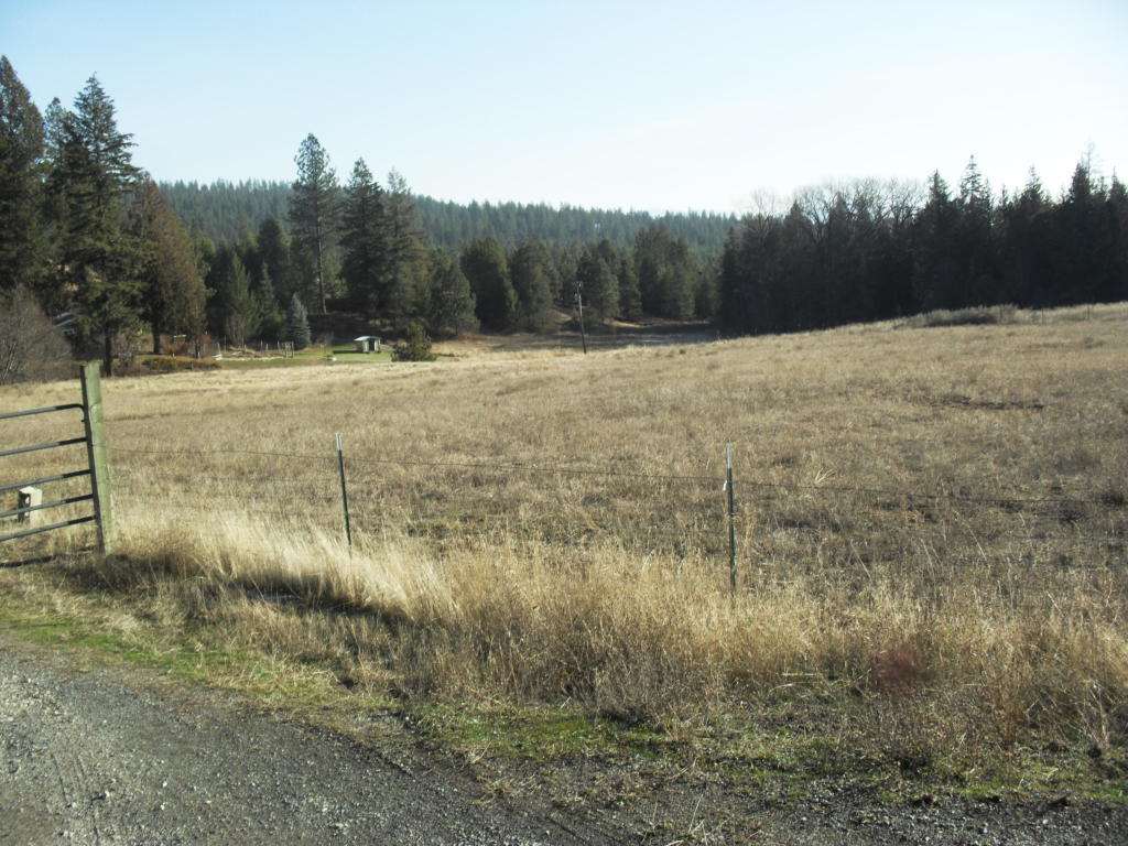 819 B Lindsay Road Colville, WA 99114 - Photo 9 of 14