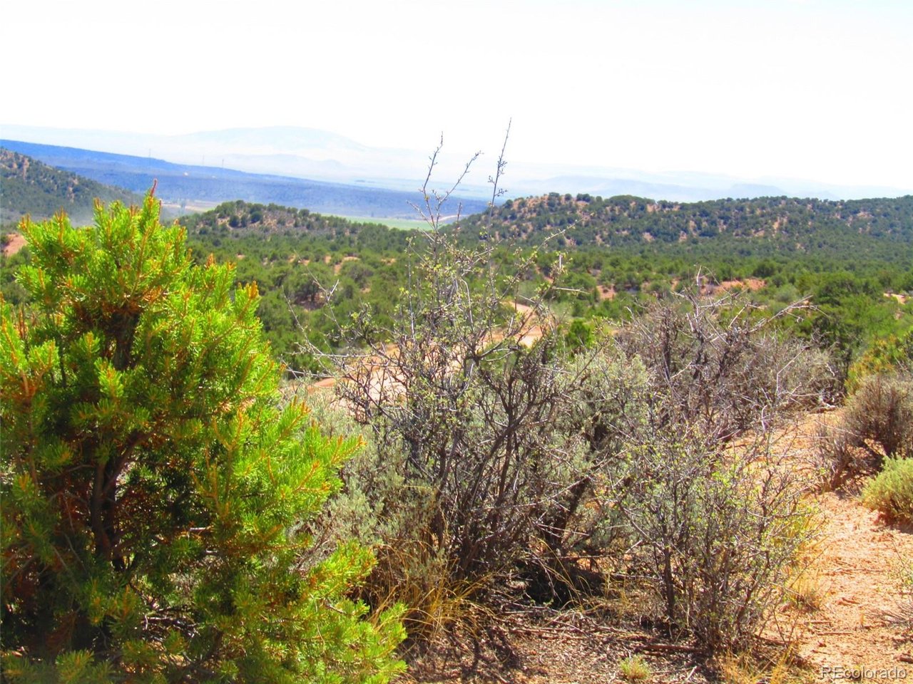 1617 Juarez Road San Luis, CO 81152 - Photo 12 of 16