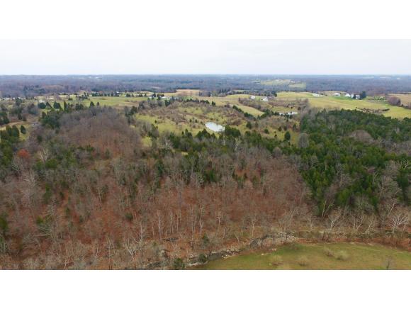 10317 Mccreary Ridge Road Florence, IN 47020 - Photo 2 of 24