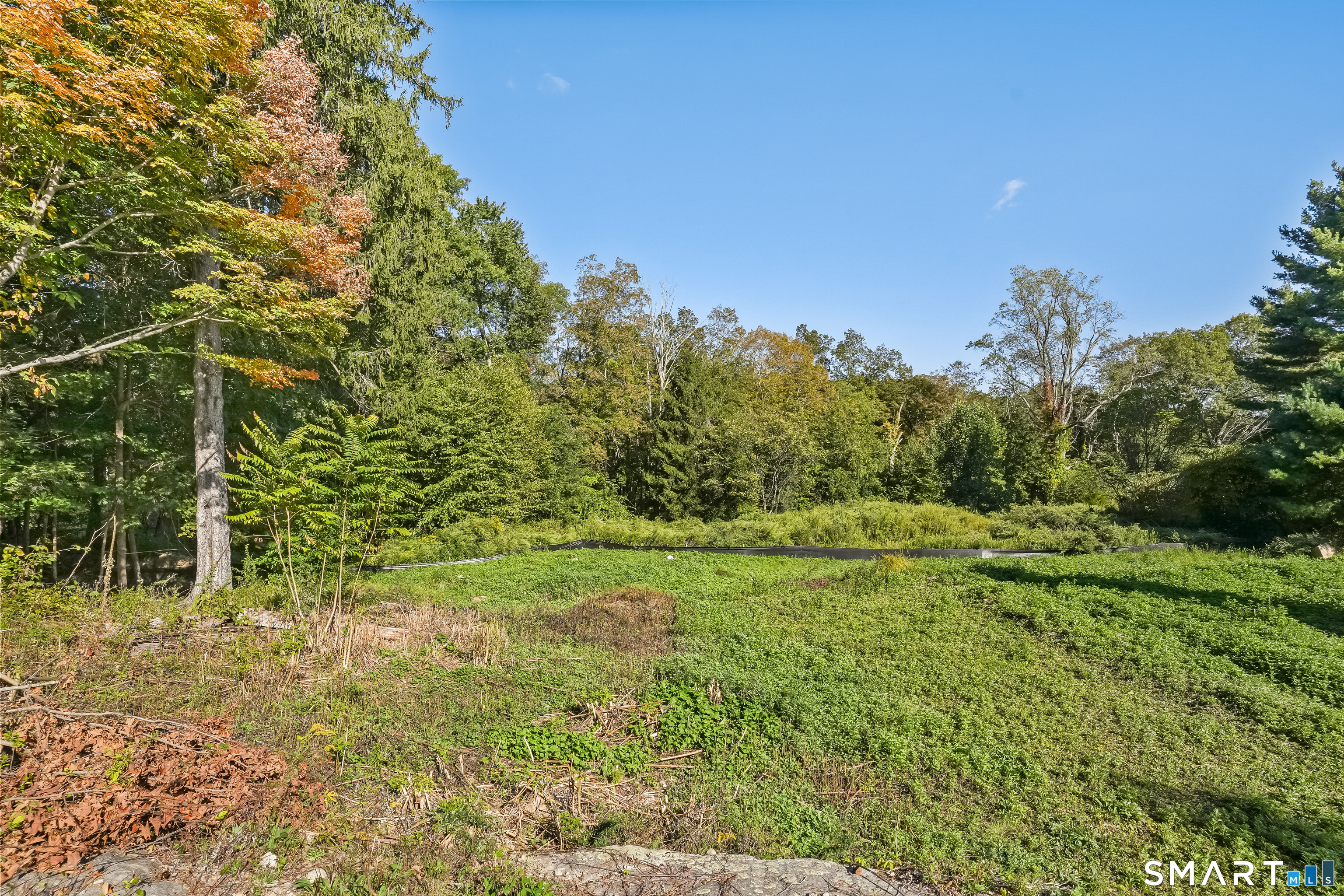 96 Georgetown Road Weston, CT 06883 - Photo 7 of 18 a view of a field with an trees