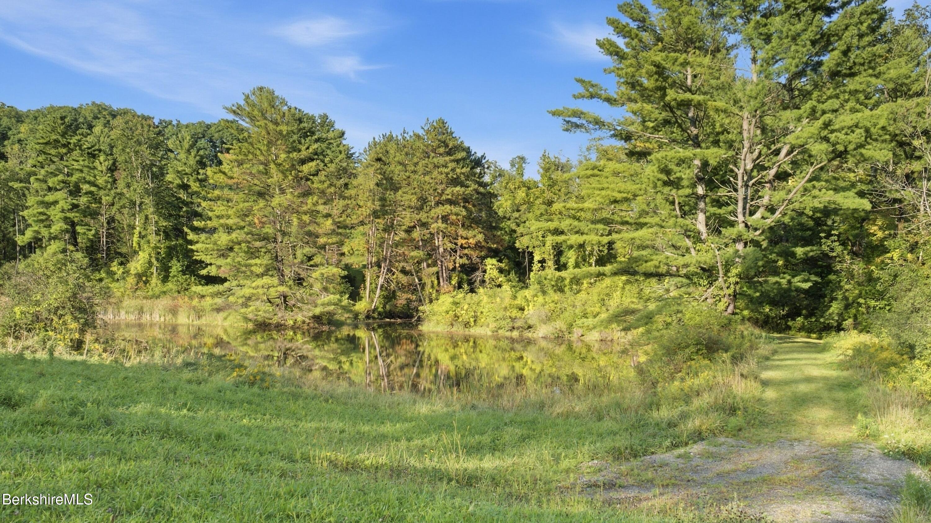 851 Lenox Road Richmond, MA 01254 - Photo 60 of 63 EXTERIOR - POND VIEW
