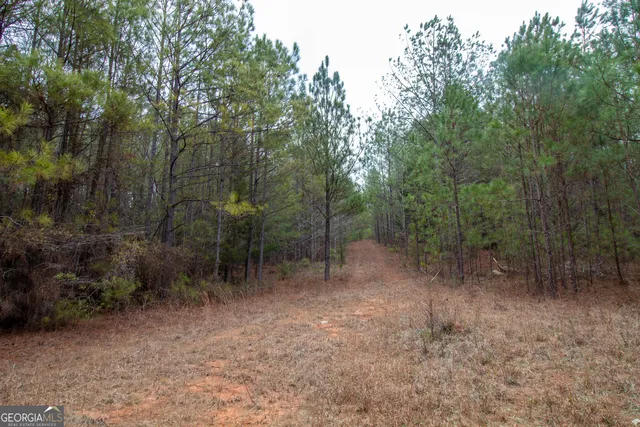 $214,999 | 0 Hwy 315 Waverly Hall Ga 31831, Waverly Hall, GA 31831