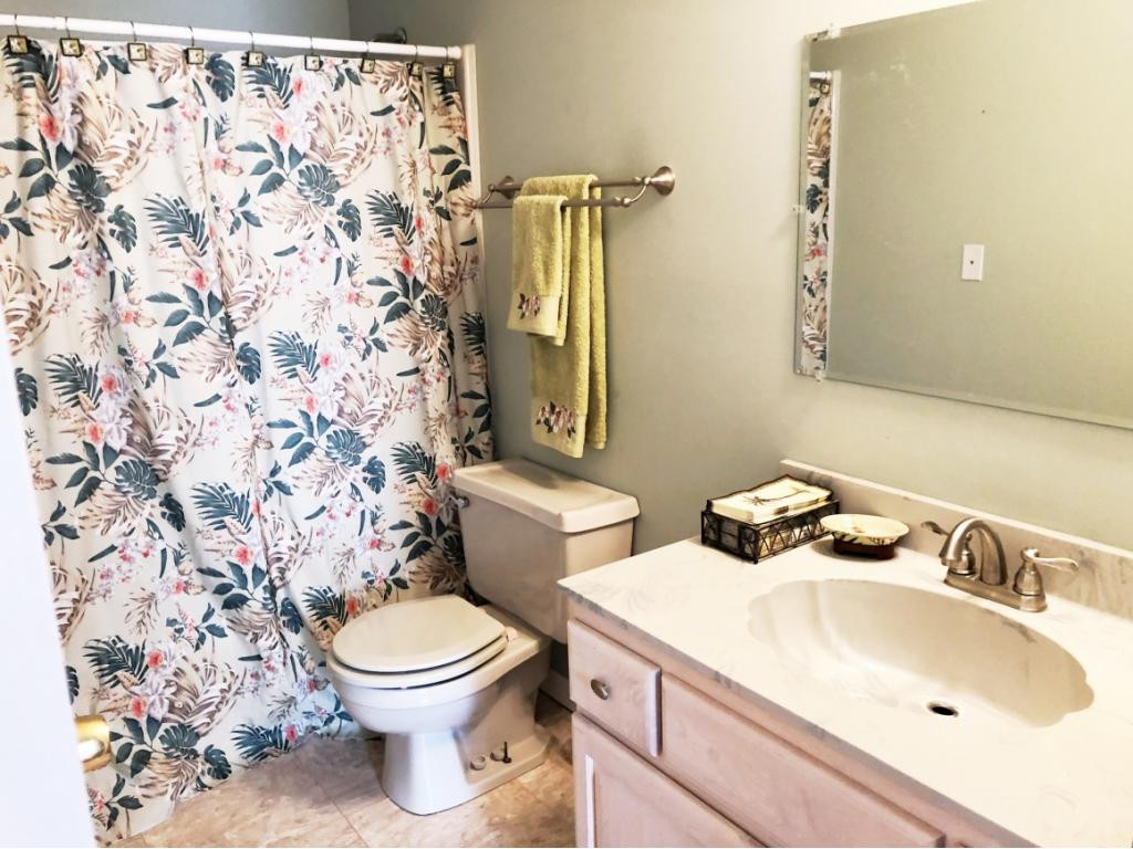 270 Roy Martin Road Gray, TN 37615 - Photo 20 of 36 Bathroom 1 of 3
