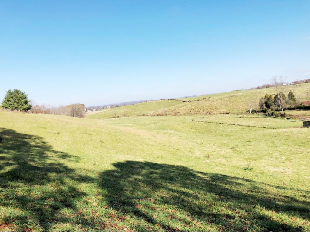 270 Roy Martin Road Gray, TN 37615 - Photo 30 of 36 View of the 7 Acres