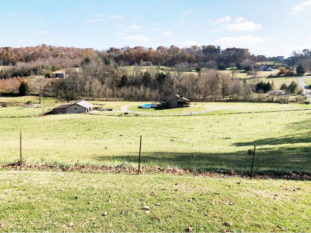 270 Roy Martin Road Gray, TN 37615 - Photo 32 of 36 View of the 7 Acres