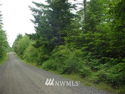 4 East Jared Road Shelton, WA 98584 - Photo 1 of 1 Gallery Image 1