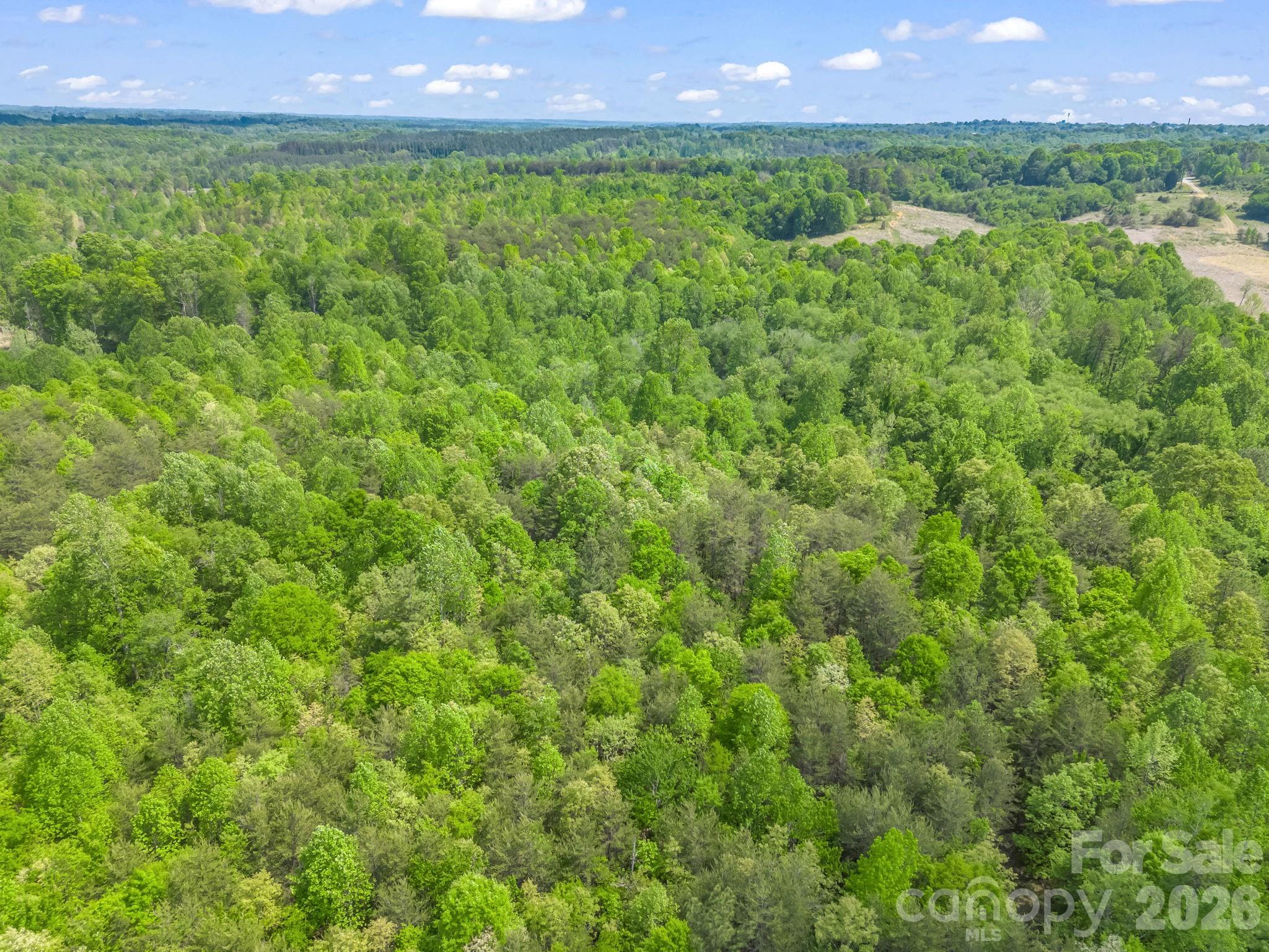 0 Smith Grove Road Forest City, NC 28043 - Photo 16 of 19