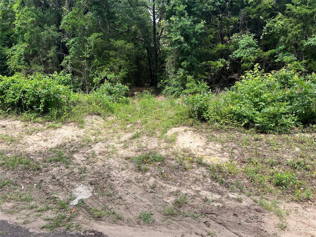 4112 VZ County Road Canton, TX 75103 - Photo 14 of 21