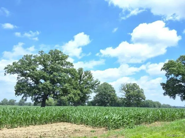 $475,000 | Auction Lot 94-acres Auction Road, Allenton, MI 48002