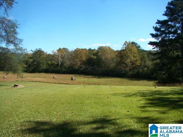 554 Chappell Road Piedmont, AL 36272 - Photo 8 of 34