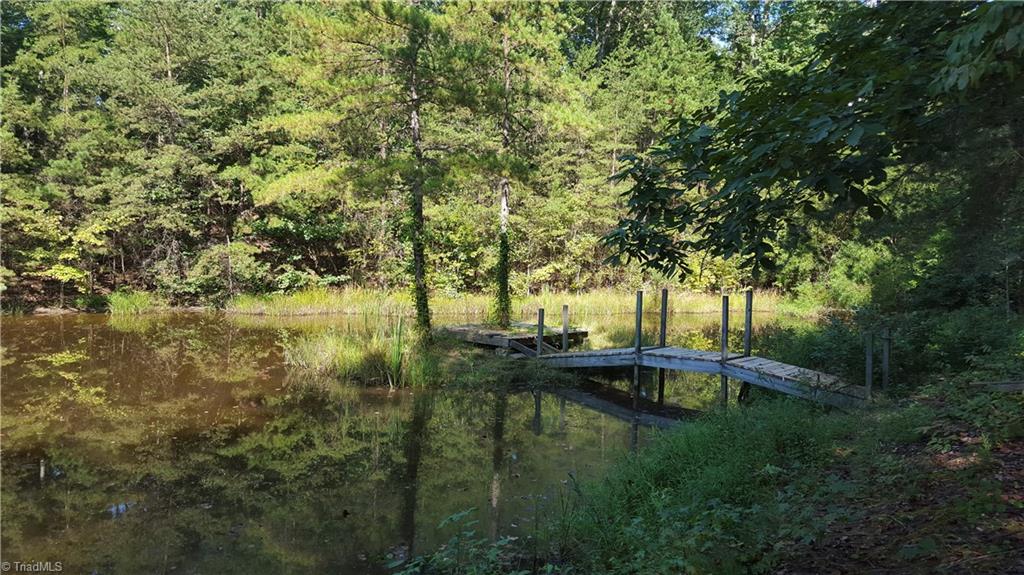 344 Old Bell Road Randleman, NC 27317 - Photo 1 of 12