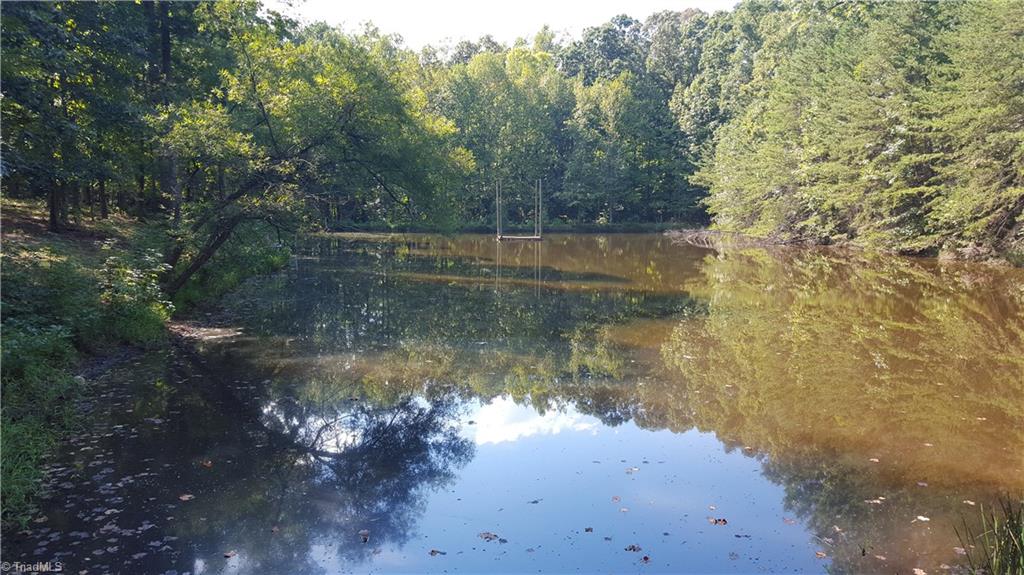 344 Old Bell Road Randleman, NC 27317 - Photo 10 of 12