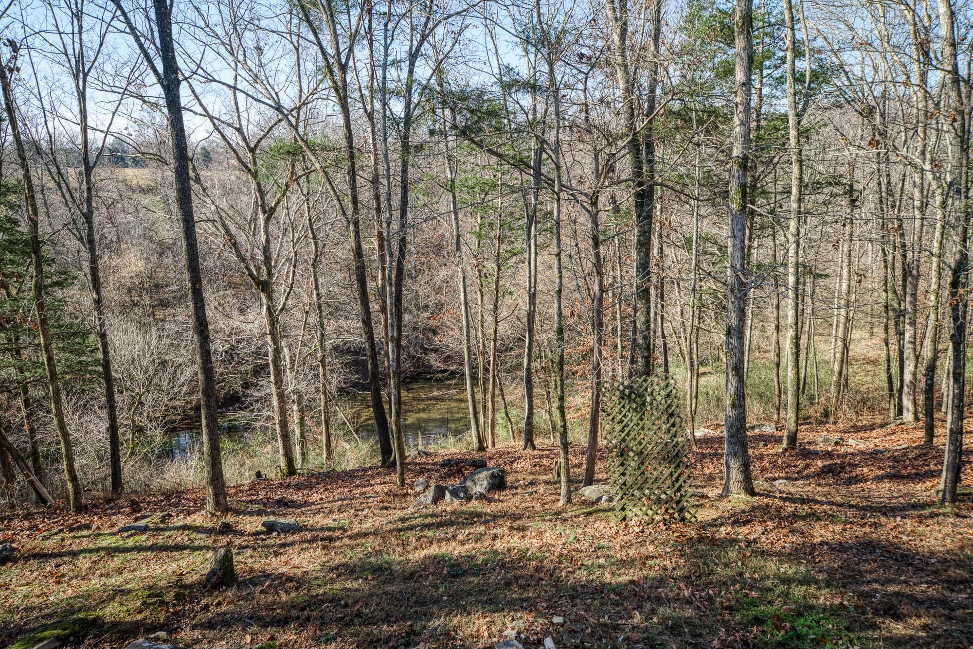 655 Mary Gardner Road Sparta, TN 38583 - Photo 15 of 34 Gallery Image 15