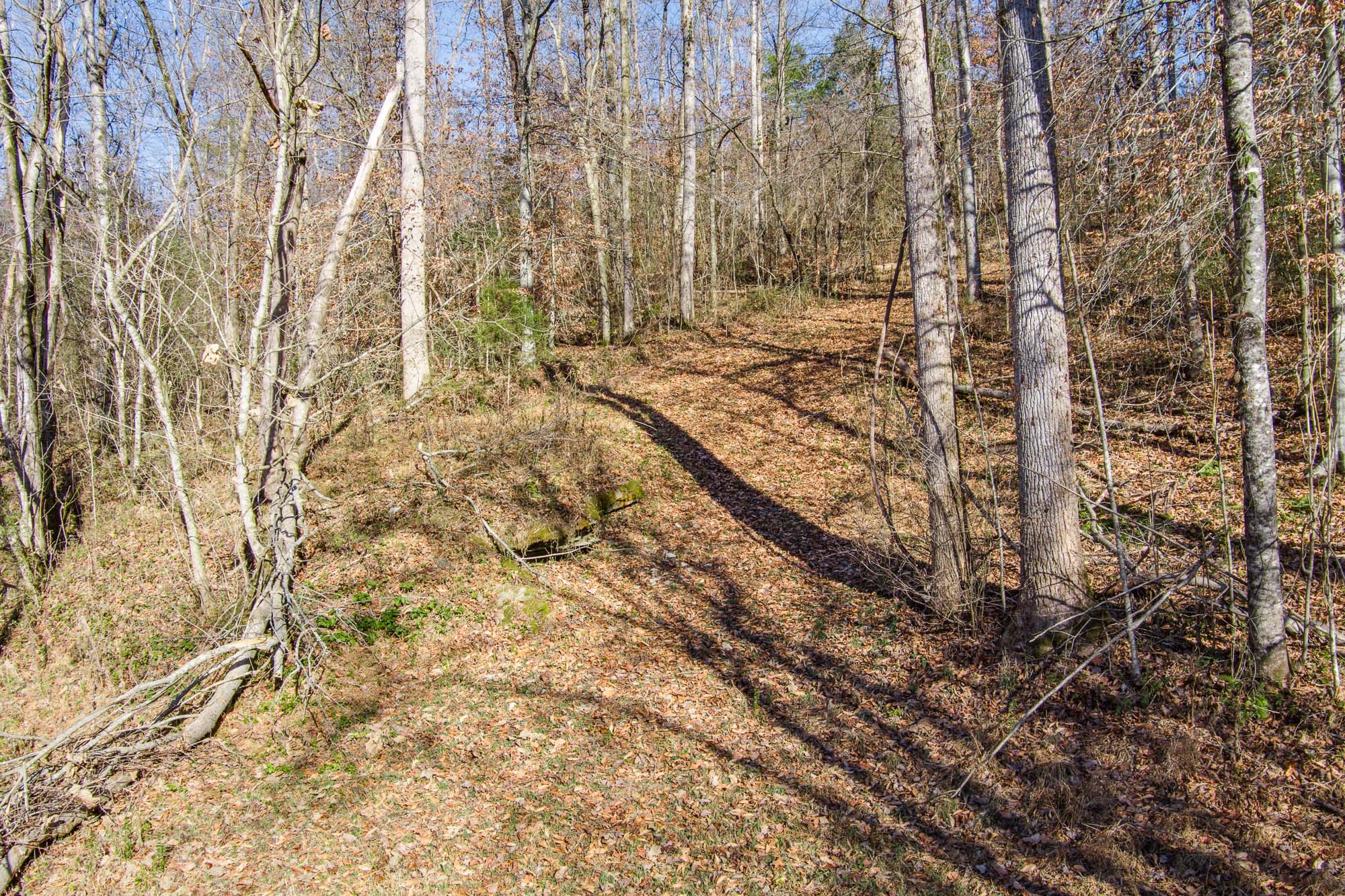 655 Mary Gardner Road Sparta, TN 38583 - Photo 16 of 34 Gallery Image 16