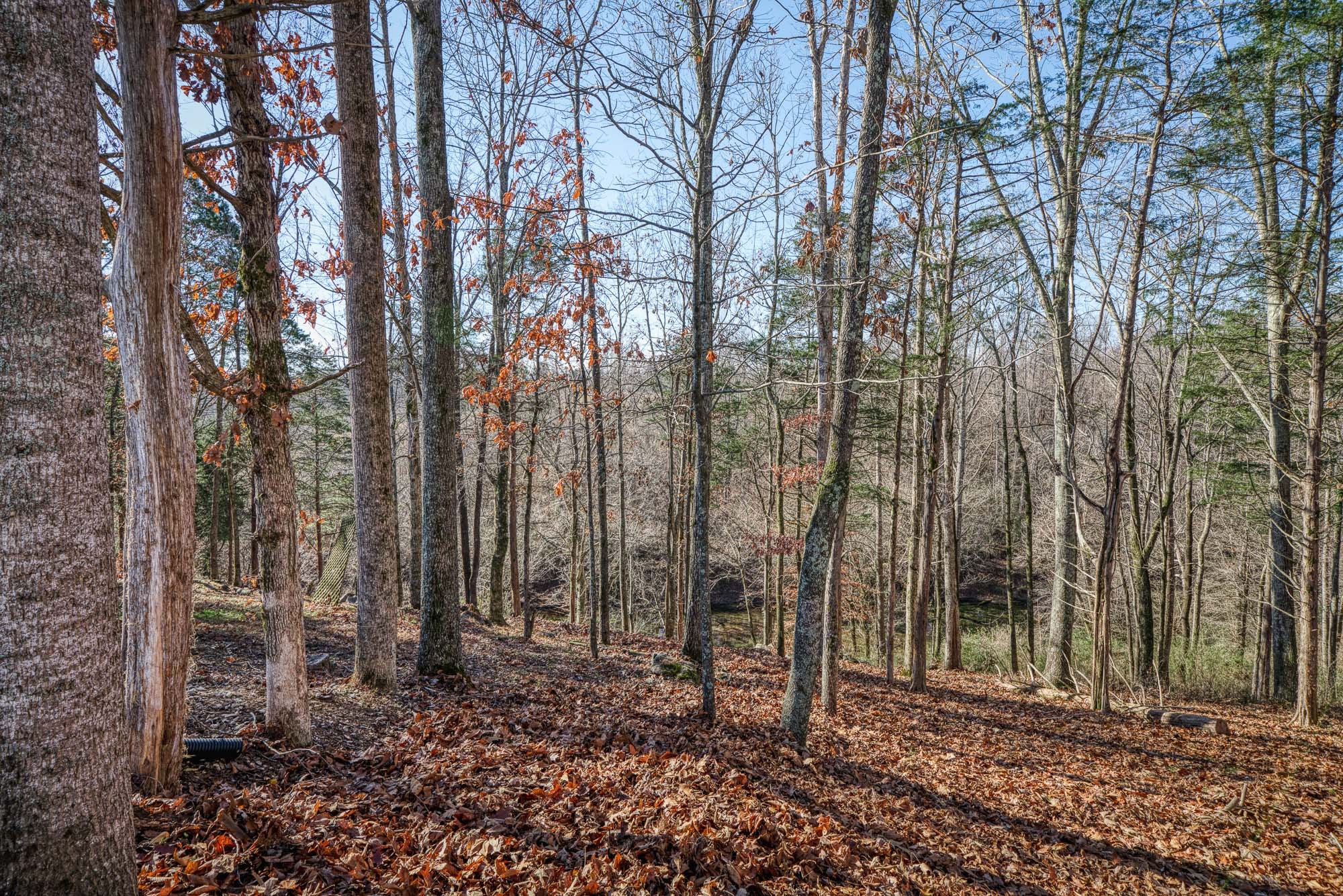 655 Mary Gardner Road Sparta, TN 38583 - Photo 18 of 34 Gallery Image 18