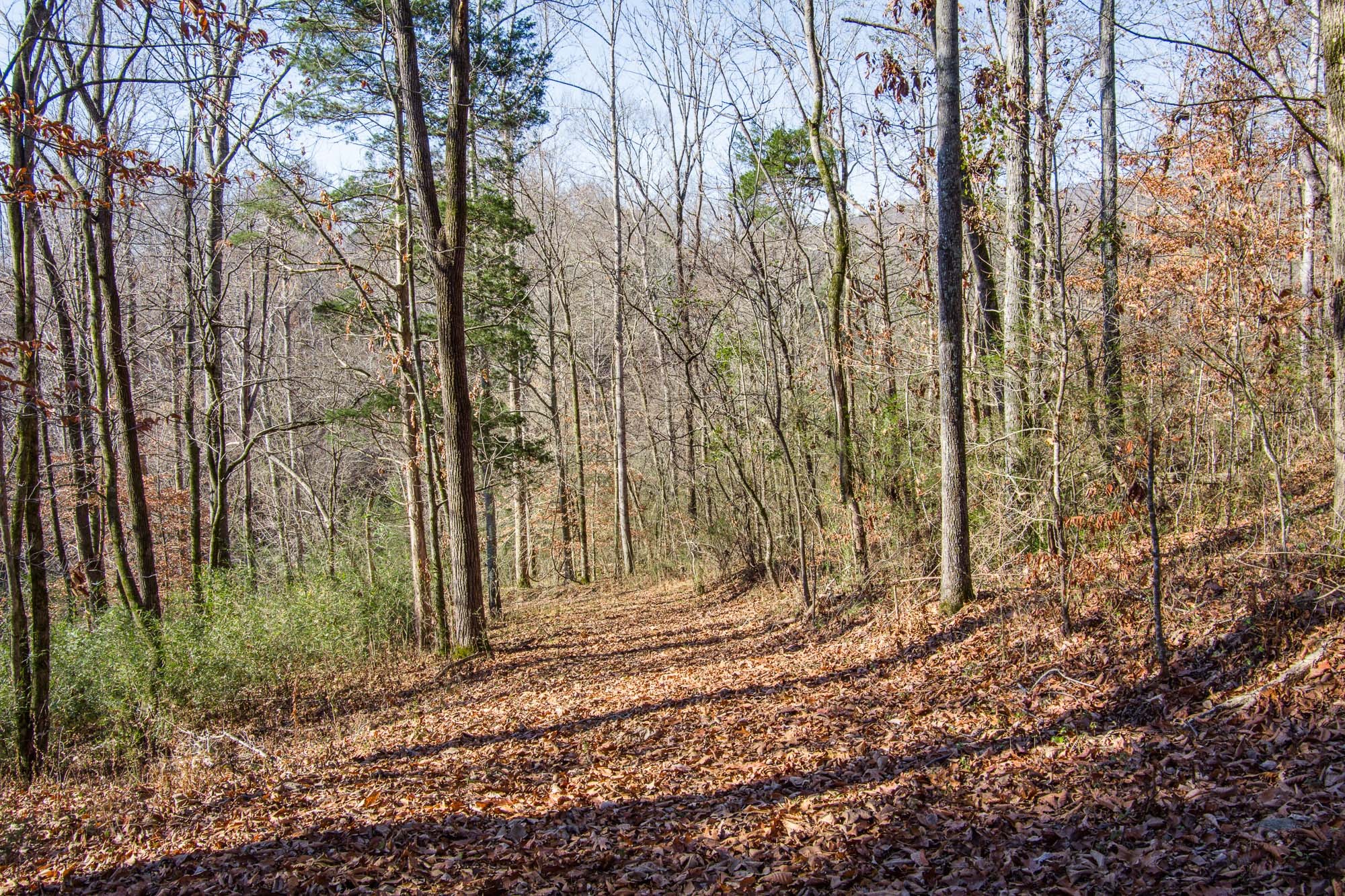 655 Mary Gardner Road Sparta, TN 38583 - Photo 20 of 34 Gallery Image 20