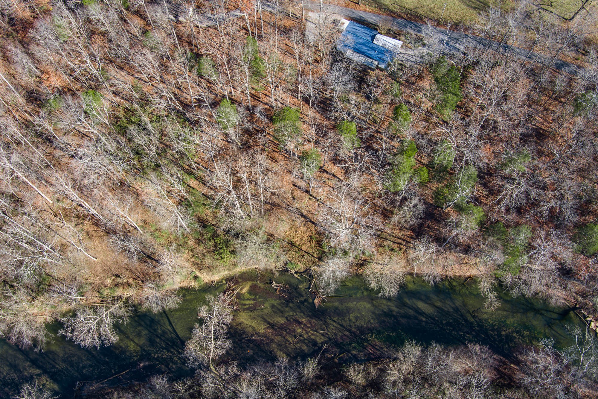 655 Mary Gardner Road Sparta, TN 38583 - Photo 2 of 34 Gallery Image 2