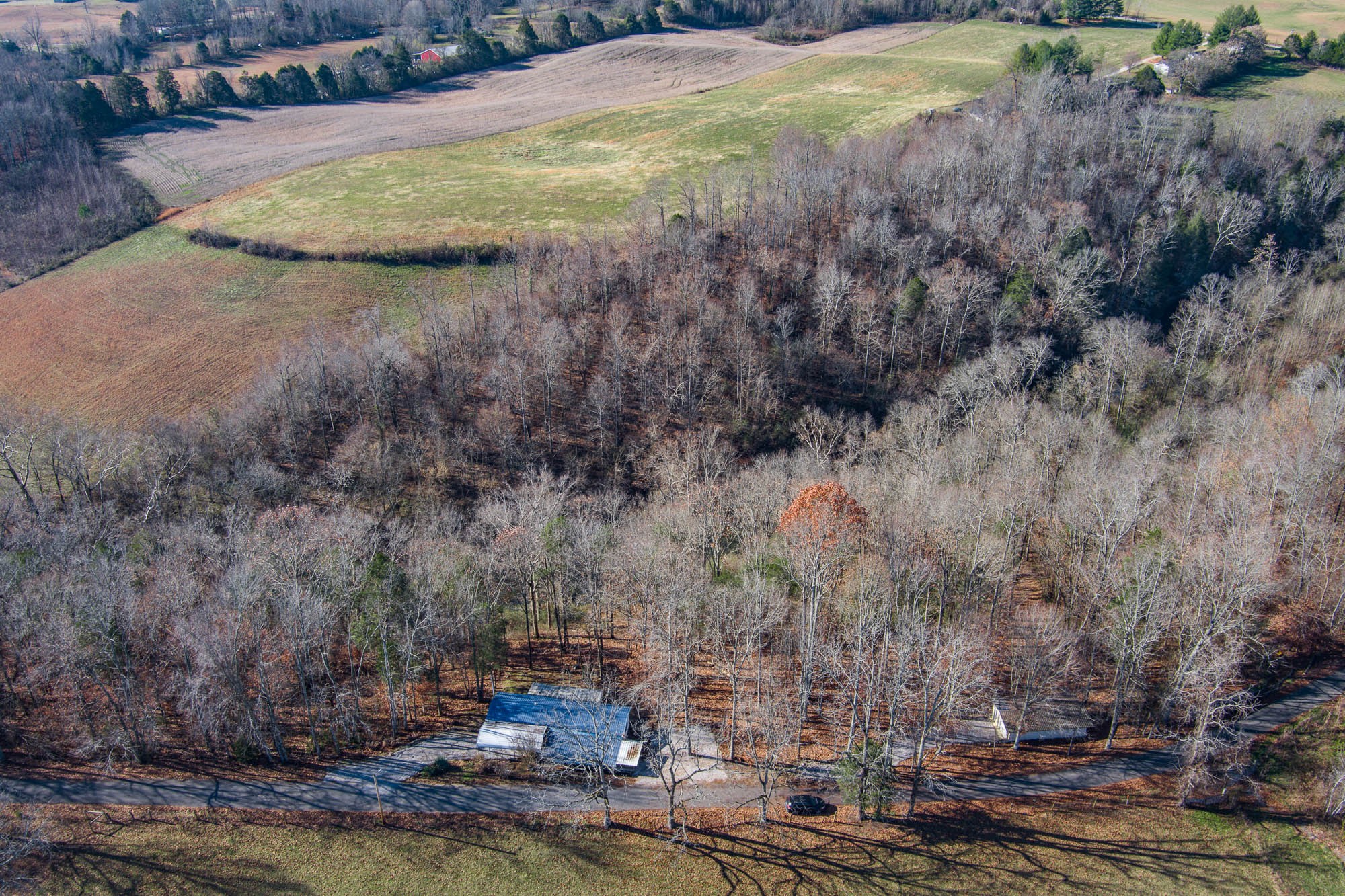655 Mary Gardner Road Sparta, TN 38583 - Photo 5 of 34 Gallery Image 5