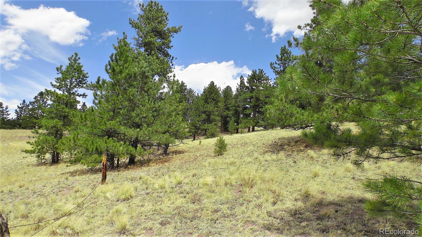 60 B Road Guffey, CO 80820 - Photo 1 of 35 a view of a yard with a tree