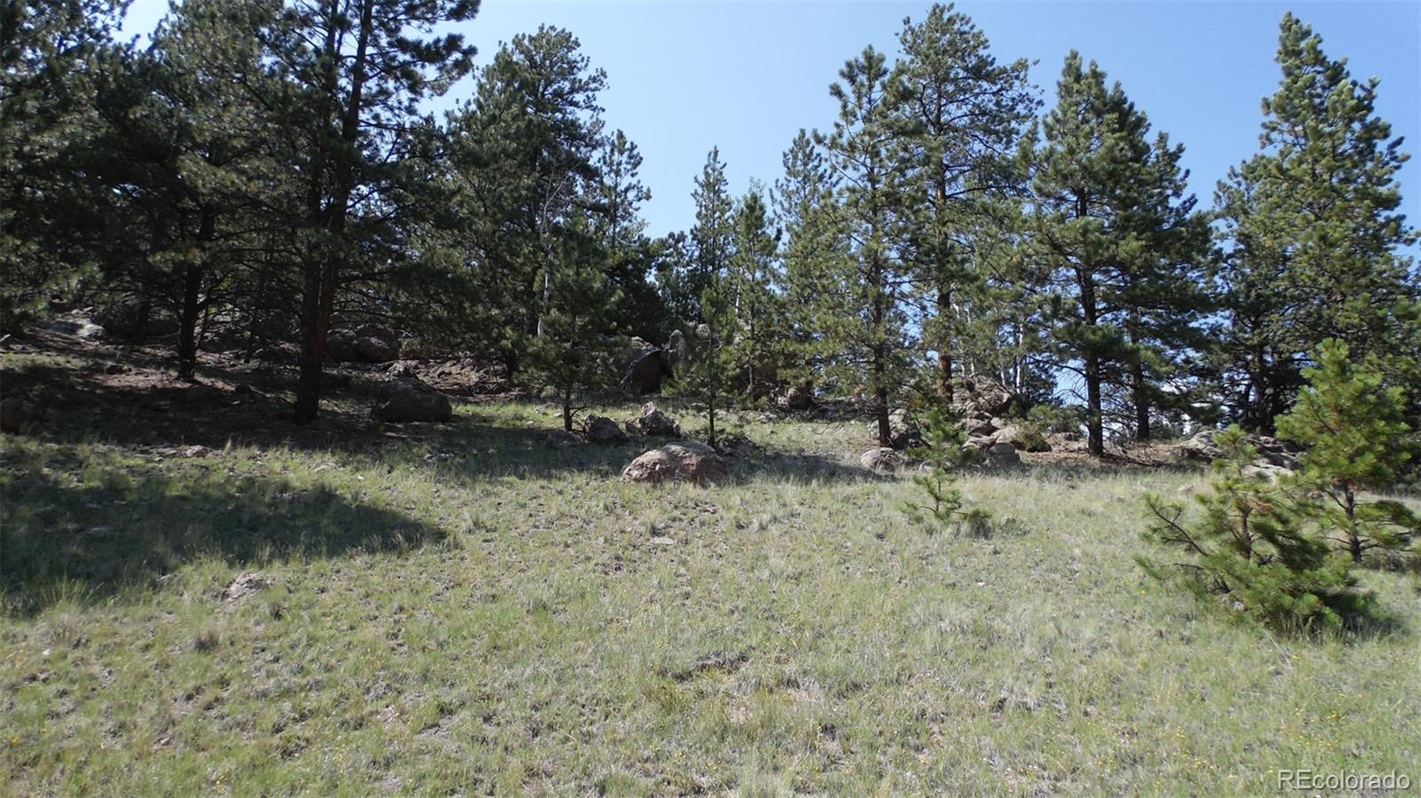 60 B Road Guffey, CO 80820 - Photo 11 of 35 a view of a lake with a tree