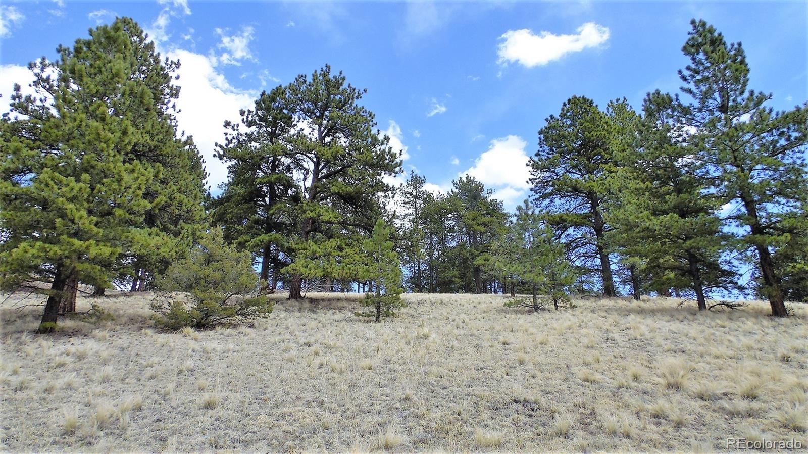 60 B Road Guffey, CO 80820 - Photo 17 of 35 a view of outdoor space with trees
