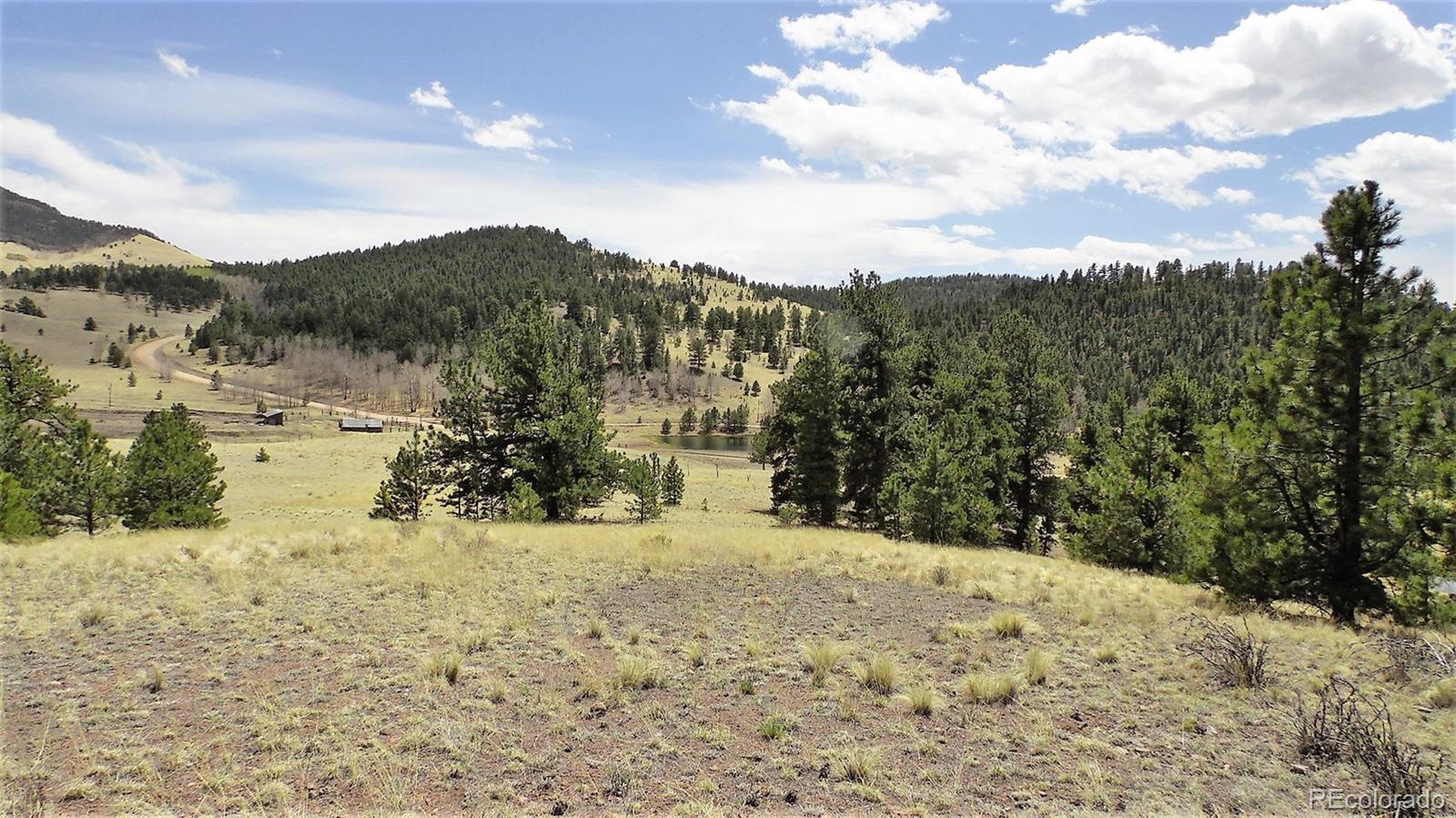 60 B Road Guffey, CO 80820 - Photo 2 of 35 a view of a yard with a large tree