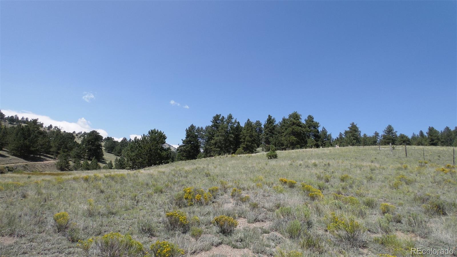 60 B Road Guffey, CO 80820 - Photo 23 of 35 a view of a field with trees in background