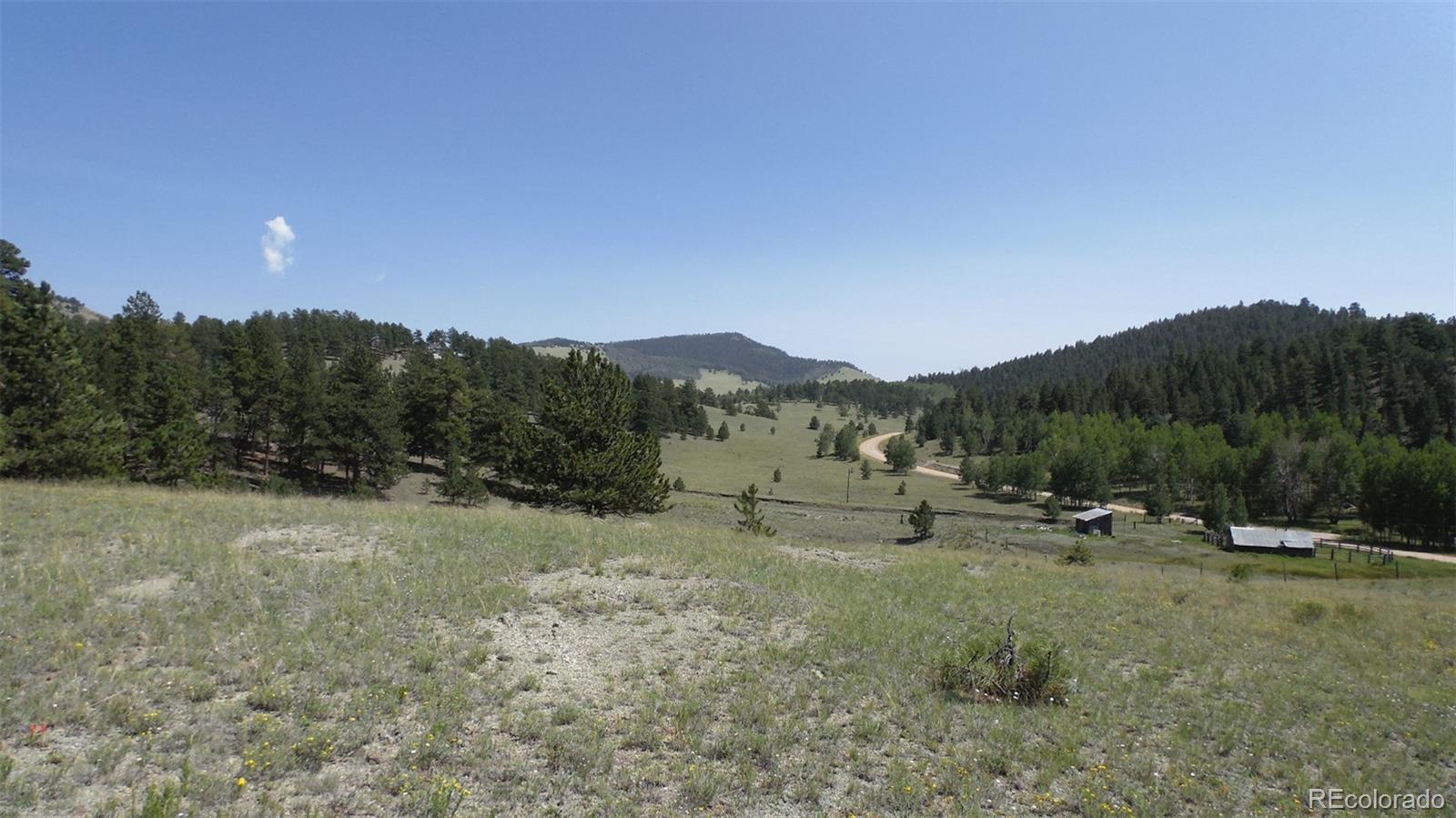 60 B Road Guffey, CO 80820 - Photo 25 of 35 a view of outdoor space with mountain view