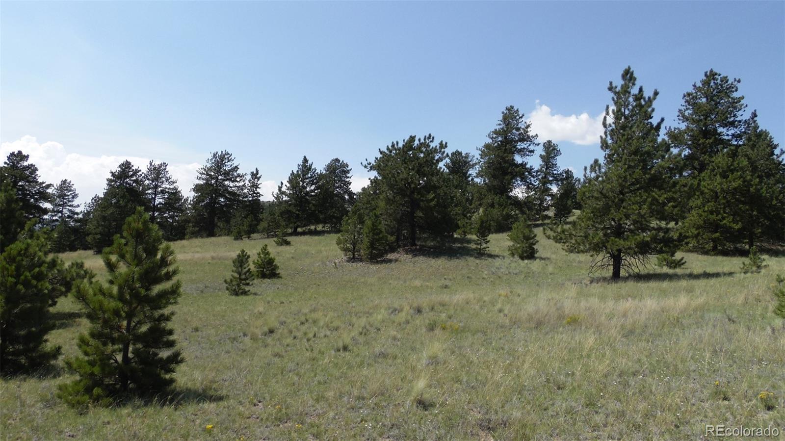 60 B Road Guffey, CO 80820 - Photo 26 of 35 a view of a dry yard with trees