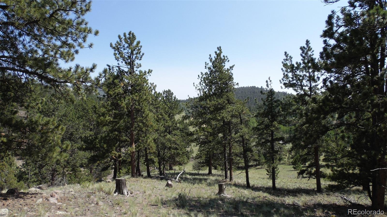 60 B Road Guffey, CO 80820 - Photo 27 of 35 a view of outdoor space with trees