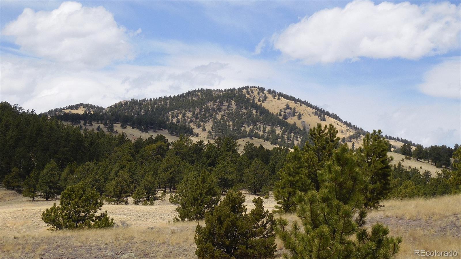 60 B Road Guffey, CO 80820 - Photo 3 of 35 a view of a sky from a city