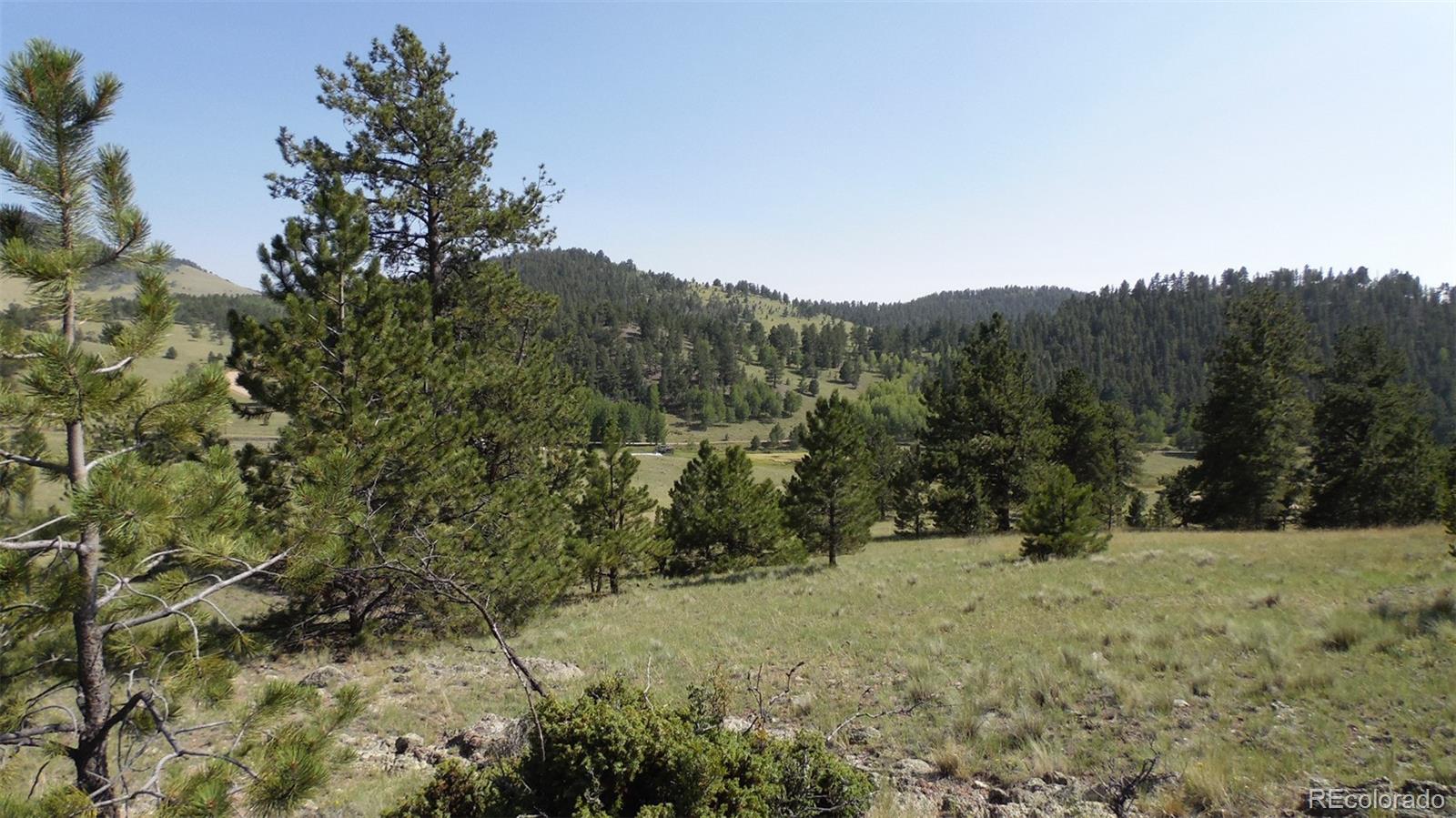 60 B Road Guffey, CO 80820 - Photo 33 of 35 a view of a yard with a tree