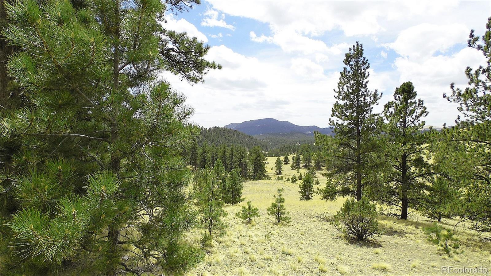 60 B Road Guffey, CO 80820 - Photo 4 of 35 a view of lake view and mountain view