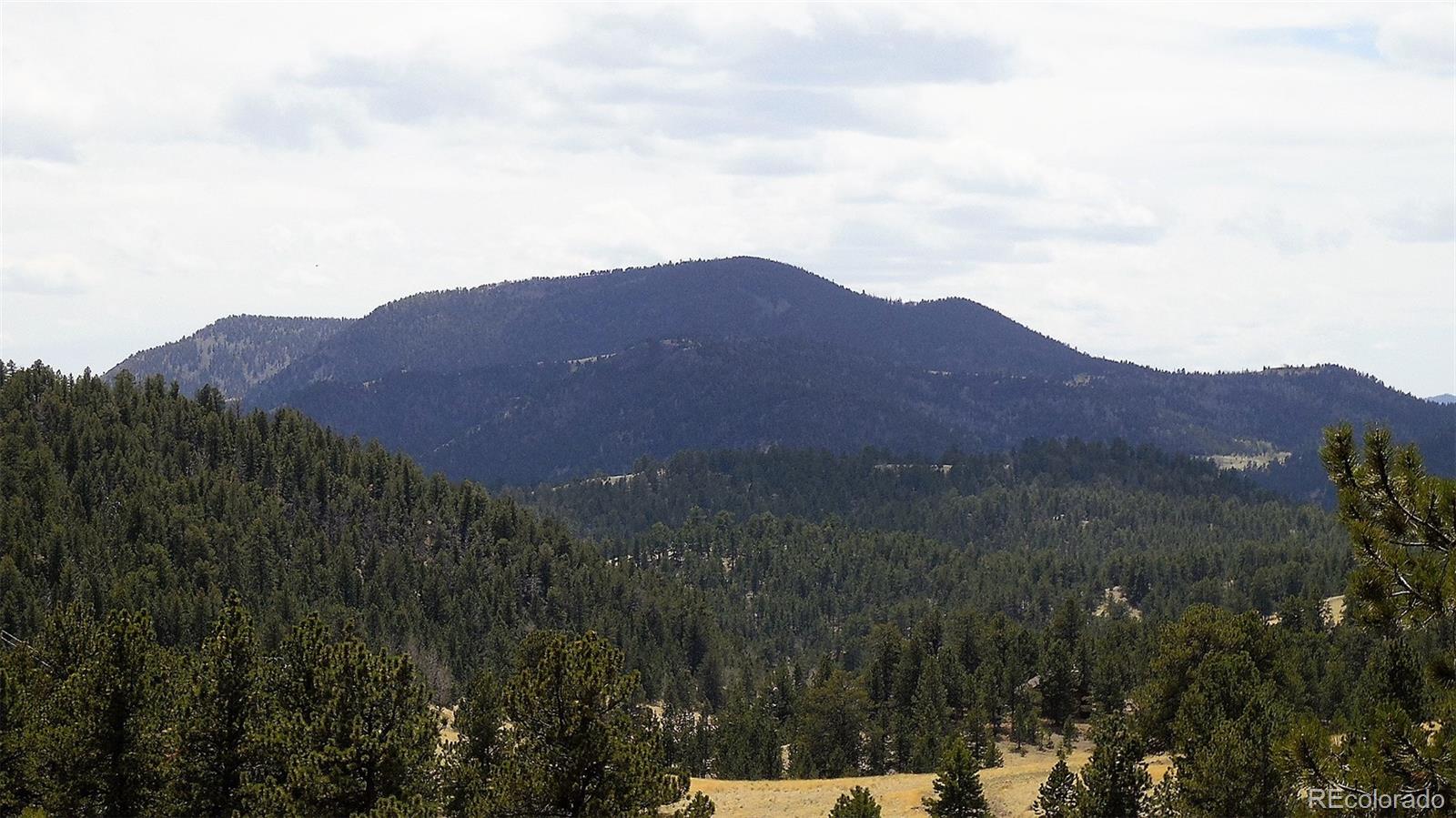 60 B Road Guffey, CO 80820 - Photo 5 of 35 a view of a house with a mountain in the background