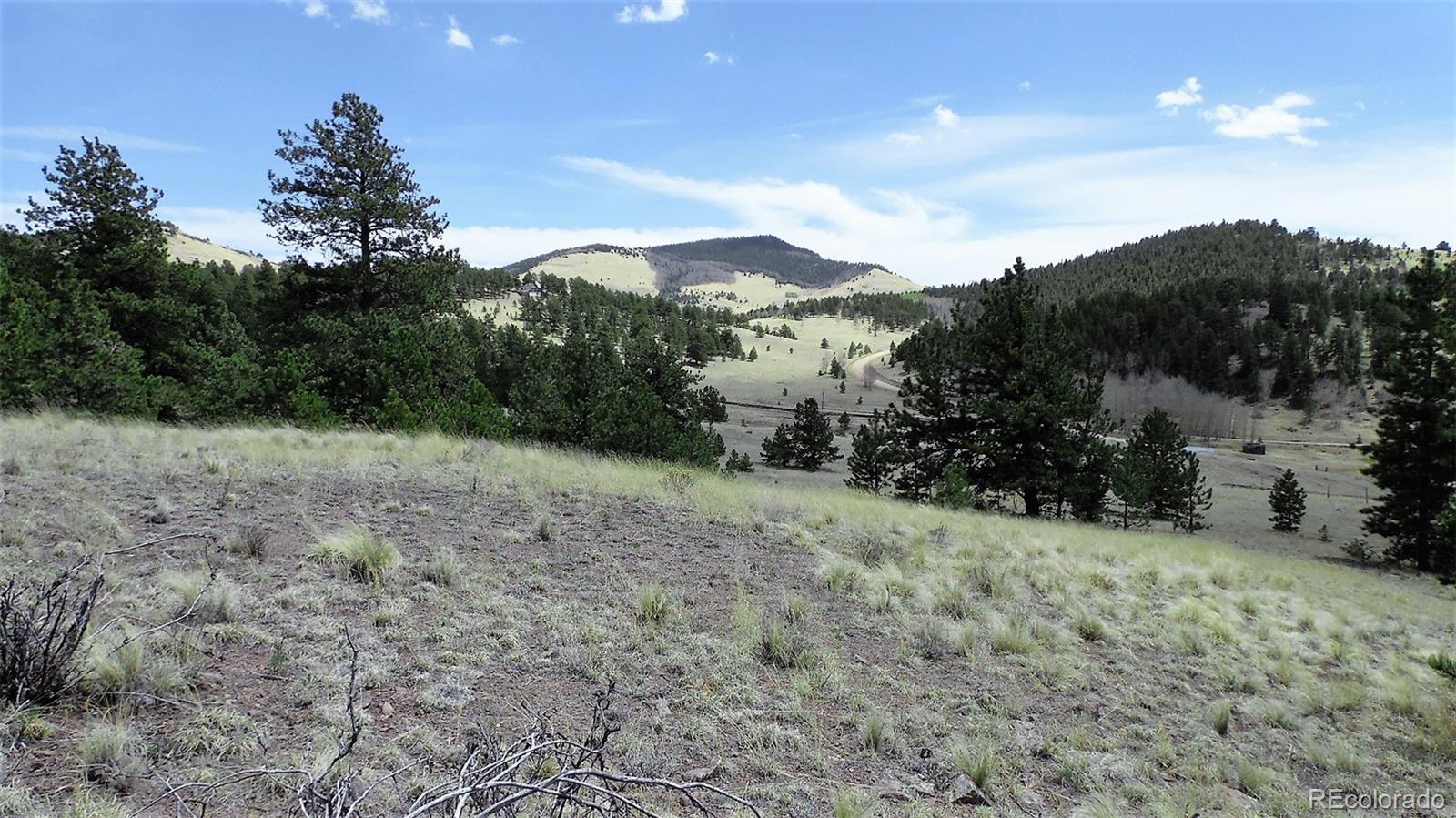 60 B Road Guffey, CO 80820 - Photo 6 of 35 a view of a dry yard with trees