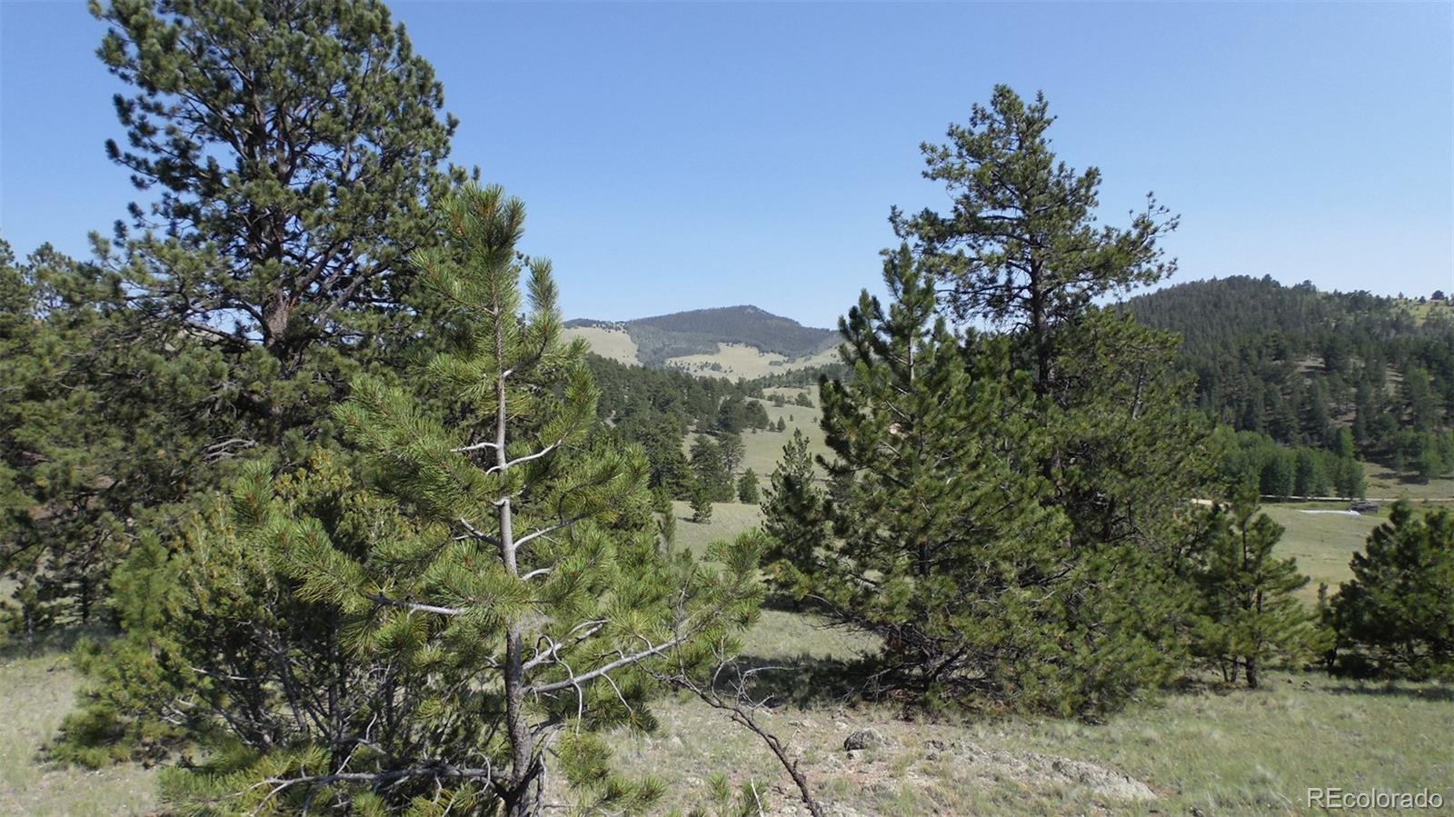 60 B Road Guffey, CO 80820 - Photo 7 of 35 a view of a city with a tree in the background