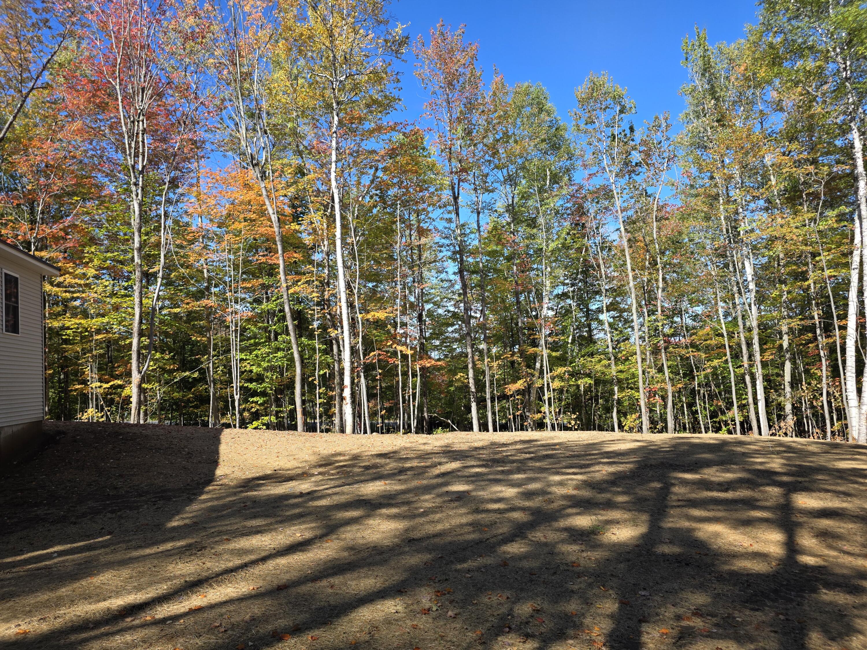 10 South Whitman School Road Buckfield, ME 04220 - Photo 8 of 35 20250926_132058 1