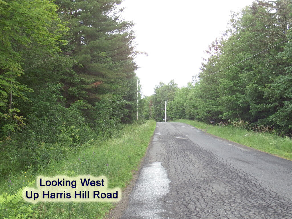 Lot 5 Harris Hill Road Weston, ME 04424 - Photo 8 of 21 faulkner-lake-harris-hill-1