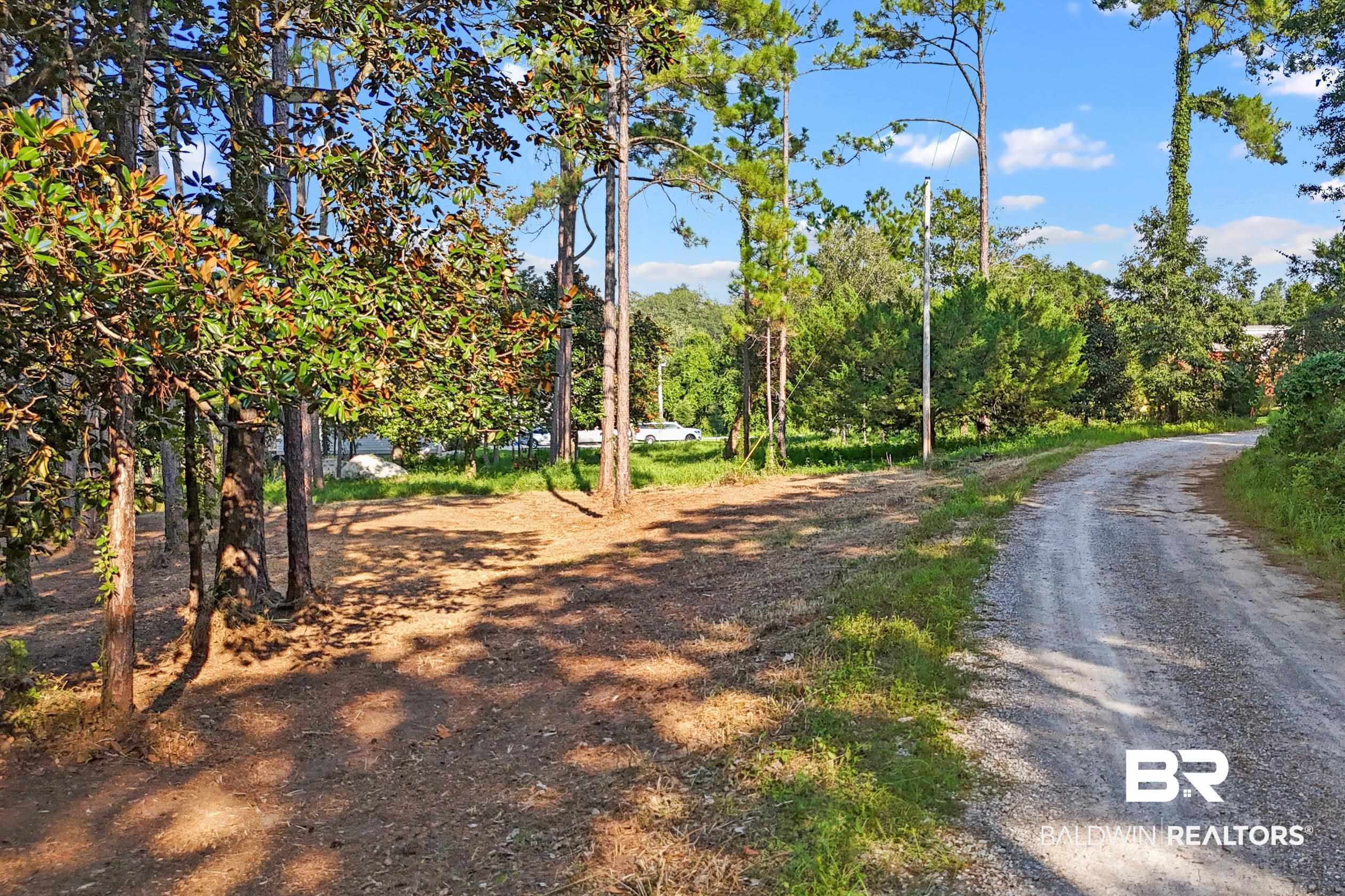 4 South Bayou Drive Elberta, AL 36530 - Photo 4 of 12 View of street