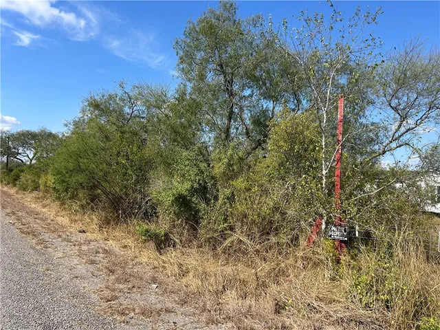 a view of a yard with a tree