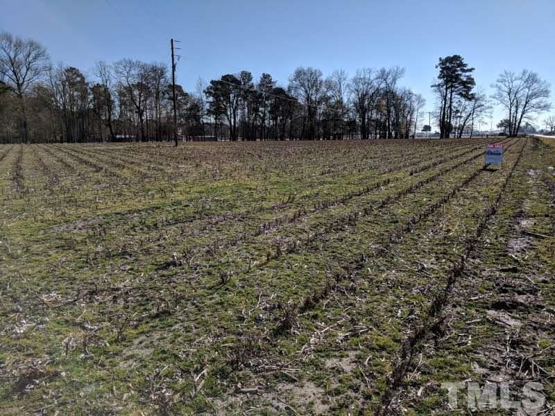 Lot #2 Mingo Church Road Dunn, NC 28334 - Photo 3 of 11 Gallery Image 3