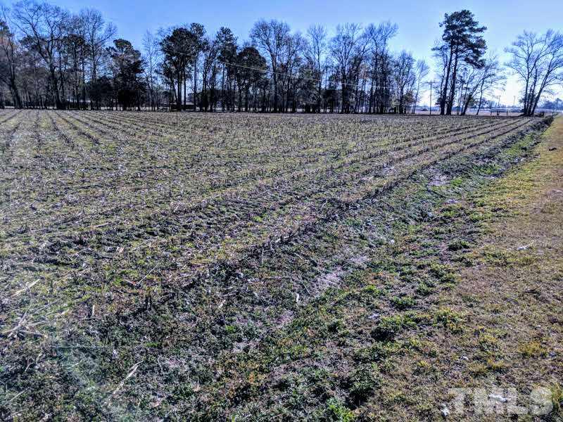 Lot #2 Mingo Church Road Dunn, NC 28334 - Photo 8 of 11 Gallery Image 8