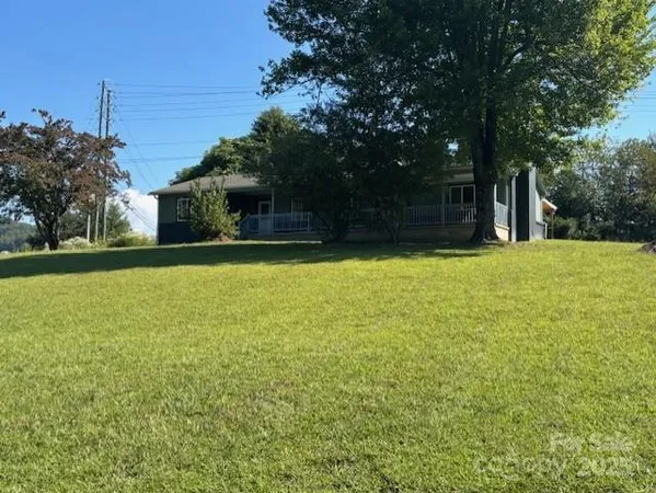 a view of a yard with a large trees