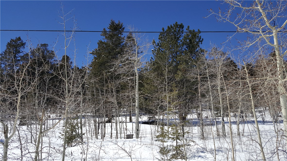 Lot 499 Redhill Road Fairplay, CO 80440 - Photo 11 of 32 Gallery Image 11