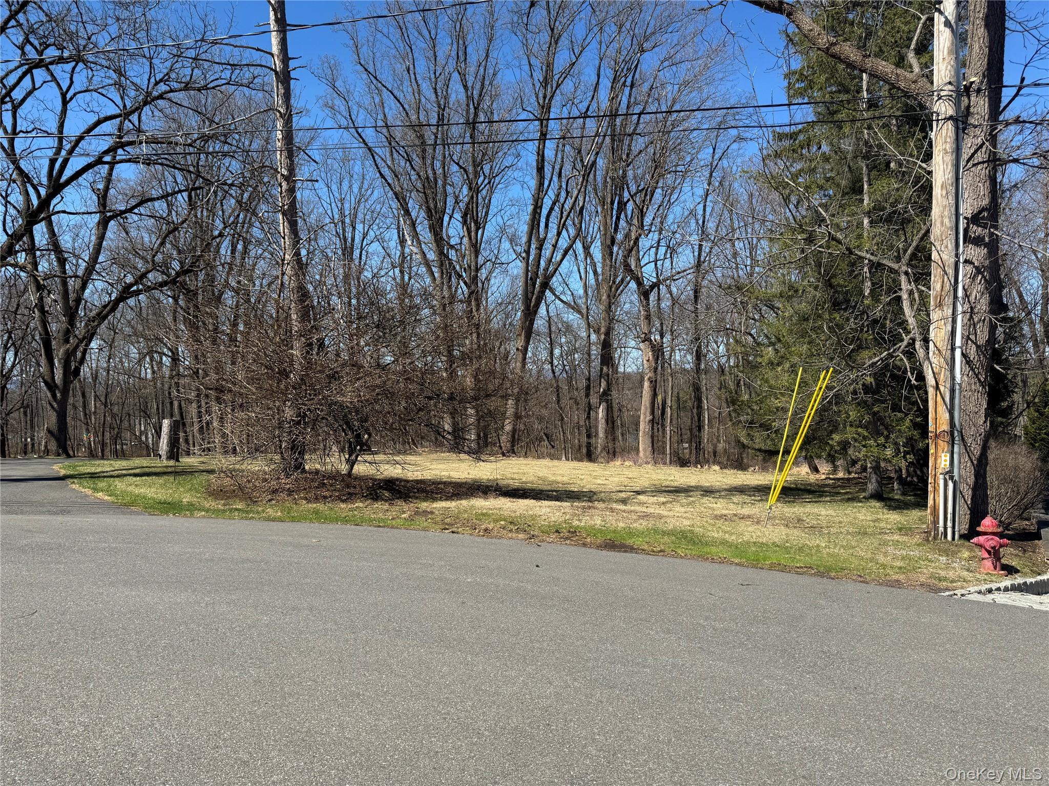 60 Locust Grove Road Rhinebeck, NY 12572 - Photo 3 of 6 The Lot Street (Driveway) Frontage