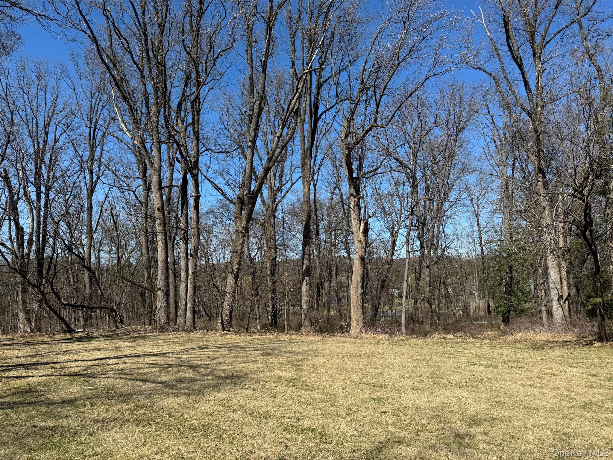 60 Locust Grove Road Rhinebeck, NY 12572 - Photo 4 of 6 Mature Woods in the Back of the Property